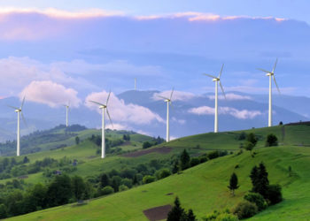 ADVOCACY: Sustainability is business