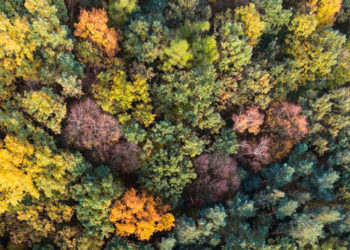 Bolstering biodiversity