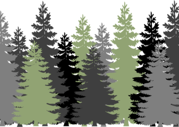 Ecosystem restoration done right