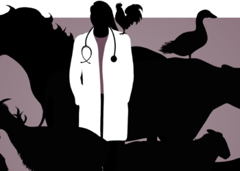 The animal determinants of human health