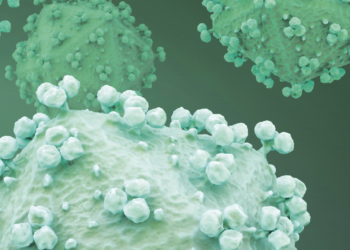 Looking back to move forwards