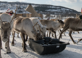 When health rests on rights