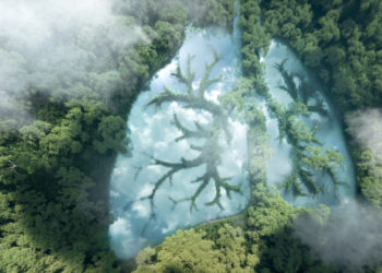 Steps to protect our planet