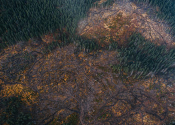 An environmental call to arms