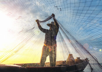 ADVOCACY: Aligning investments with ocean health