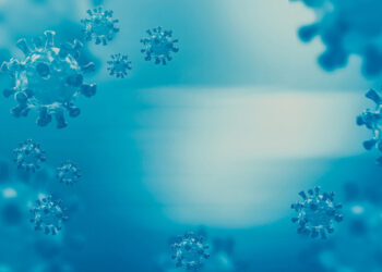 We lack action – not words