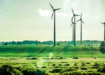 Climate change: an enduring issue