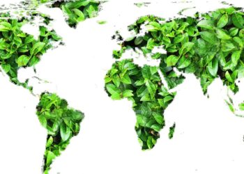 G7 performance on climate change