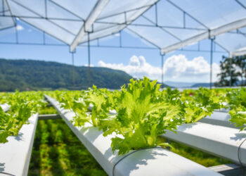 G20 performance on food and agriculture