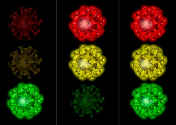 Protect our health, our rights