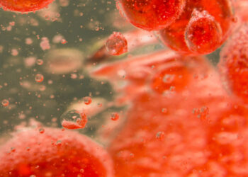 G20 performance on health