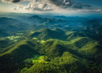 G20 performance on the  environment