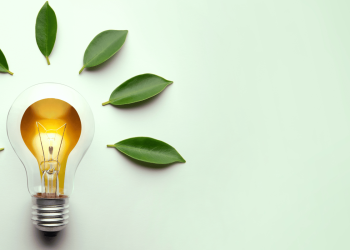 Growing the pipeline of energy transition investments