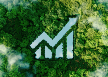 How multilateral development banks can bridge the climate financing gap