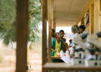 The unfinished agenda: Why NTD elimination remains a political choice