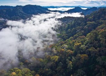 Sabah’s living blueprint for a sustainable planet