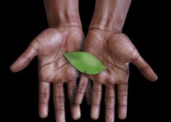 Africa must  champion climate resilience and adaptation